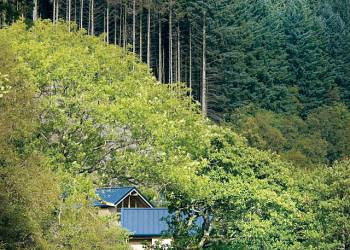 Strathyre Forest