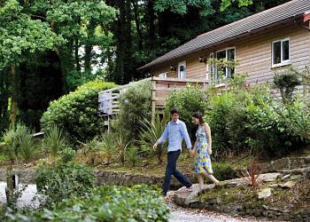 Ivyleaf Combe Lodges