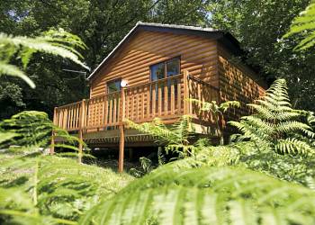 Woodland Lodges