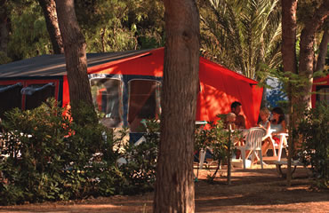 Photo 4 of Camping Park Playa Bara