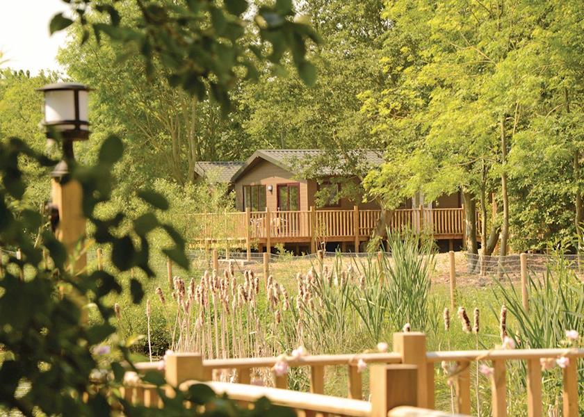Rosewood Stud Park