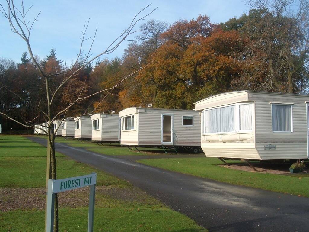 Forest Glade Holiday Park - Holiday Park in Cullompton, Devon, England