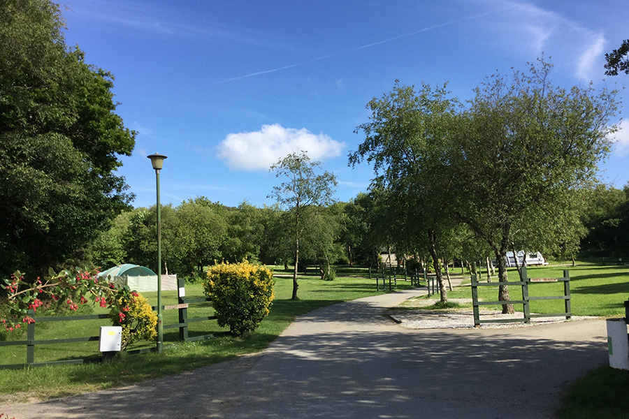 Photo 8 of Hedley Wood Holiday Park