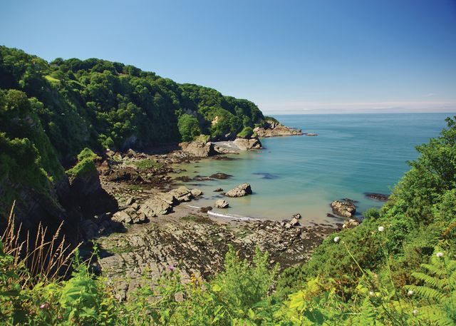 Sandaway Beach Holiday Park in Devon