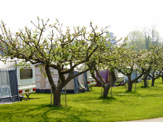 Arrow Bank Holiday Park - Holiday Park in Leominster, Herefordshire, England