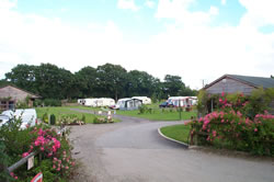 Oakley Farm Caravan Park - Holiday Park in Newbury, Berkshire, England