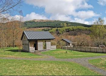 Strathyre Forest