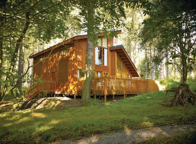 Blackwood Forest Lodges In Hampshire England