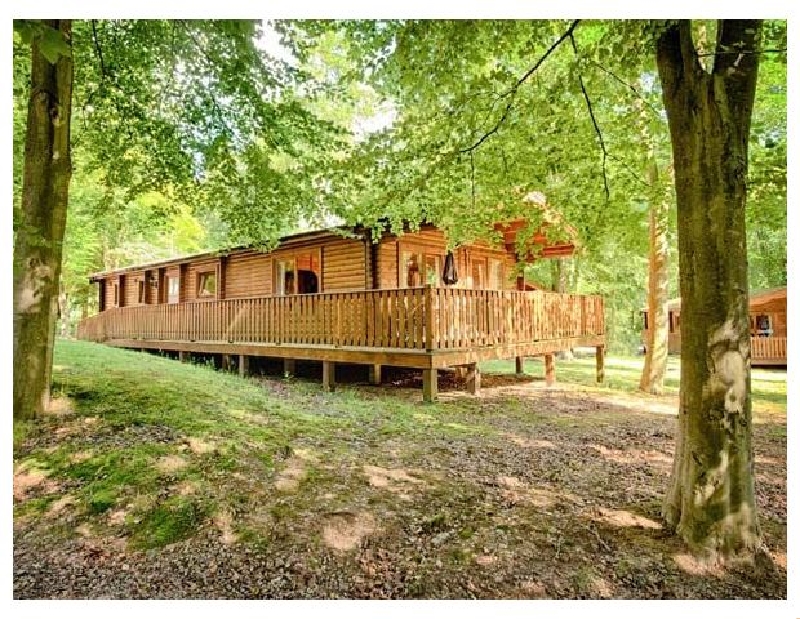 No 39 Kenwick Woods - Holiday Lodges in Louth, Lincolnshire, England